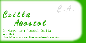 csilla apostol business card